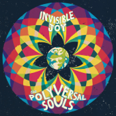 Invisible Joy - The Polyversal Souls