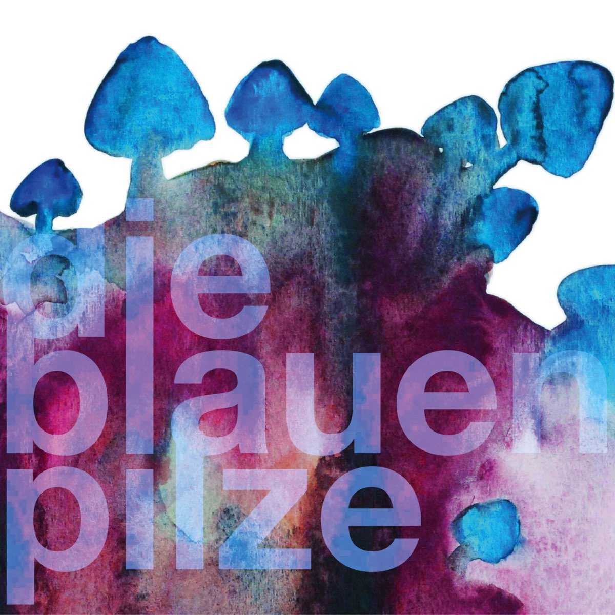 Die Blauen Pilze by Die Blauen Pilze on Apple Music