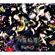 Senbonzakura - WagakkiBand