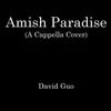 Amish Paradise (A Cappella Cover) - Single album lyrics, reviews, download