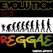 Evolution of Reggae artwork