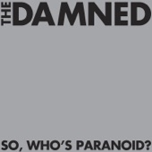 So, Who's Paranoid? artwork