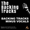 Backing Tracks Hits 2015, Vol. 515 (Instrumental Backing Track), 2015