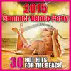 Summer Party (Radio Edit) [feat. Mr. Shammi] song lyrics