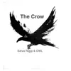 Stream & download The Crow - Single