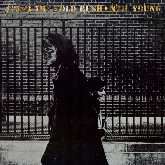 Cover artwork for Birds