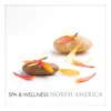 Spa & Wellness in North America album lyrics, reviews, download