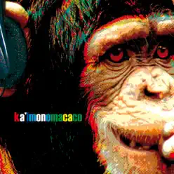 Kaimonomacaco - Revolber