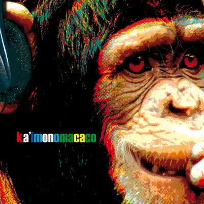 Kaimonomacaco - Revolber Kaimonomacaco - Revolber