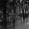 Trommelfell - Single album lyrics, reviews, download