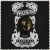 Willie Nelson - Highwayman