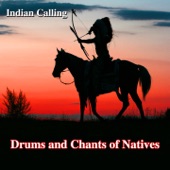 Apache Spirit (Native American Music) artwork
