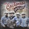 El Padrino - Los Cachorros de Juan Villarreal lyrics