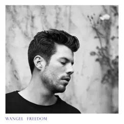 Freedom by Wangel album reviews, ratings, credits
