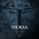Dark Angel - Thorax