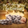 Der Weihnachtstraum: Im Kinderland, 2015