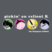 Pickin' on Relient K: The Bluegrass Tribute - Pickin' On Series