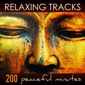 Relaxing Tracks - 200 Peaceful Minutes of Zen Relaxation Meditation Yoga Music with Sounds of Nature artwork