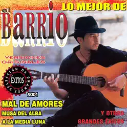 Selección de Grandes Éxitos 2001 - El Barrio