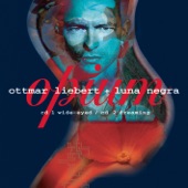 Ottmar Liebert + Luna Negra - Trémulo (De Mi Corazon) (Album Version)