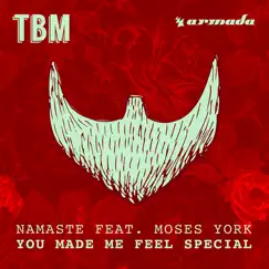 You Made Me Feel Special (feat. Moses York) [Radio Edit] Song Lyrics