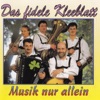 Musik nur allein