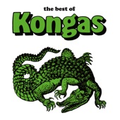 The Best of Kongas artwork