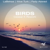 Birds (Ceasar K Rework) [Ceasar K Rework] artwork