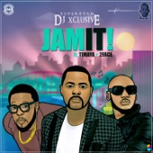 Jam It (feat. Timaya & 2Face) artwork