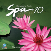 Spa Music, Vol. 10: ดนตรีบำบัด - ชาญชัย ศรีทองแจ้ง