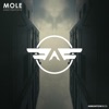 Mole - Reality of Life