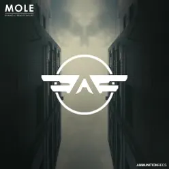 Shining / Reality of Life - Single - Mole Shining / Reality of Life - Single - Mole