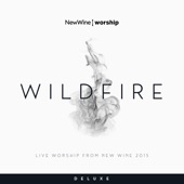 Wildfire (Live Worship from New Wine 2015) [Deluxe] artwork