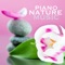 Aqua Palace - Green Nature SPA lyrics