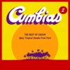 The Best of Chicha: Cumbias, Vol. 2 (Spicy Tropical Sounds from Perú)