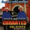 Chuy Armijo Dos - Errantes Del Norte lyrics