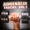 Adrenalin Tracks, Vol. 1