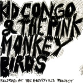 Kid Congo & The Pink Monkey Birds - El Cucuy