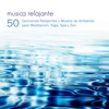 Musica Relajante - Música para la Concentracion (Musica para Estudiar)