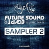 Future Sound of Egypt, Vol. 3 - Sampler 2