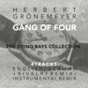 The Dying Rays (feat. Herbert Gronemeyer) - EP