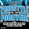 Todd Terry Presents Freestyle Forever (Vol 2)