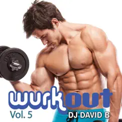 Wurkout Vol. 5 (Continuous DJ Workout Mix) by DJ David B album reviews, ratings, credits