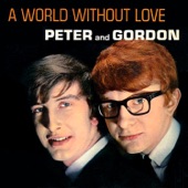 Peter & Gordon - Trouble in Mind