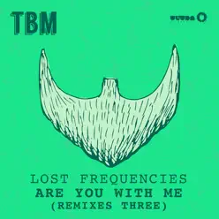 Are You With Me (Remixes, Pt. 3) - Lost Frequencies