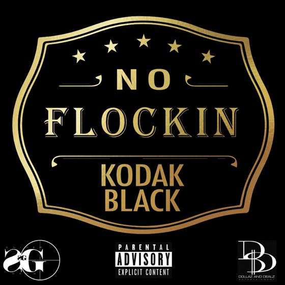 Cover artwork for No Flockin