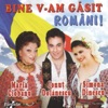 Bine v-am gasit romani