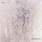 Birds - Lael lyrics
