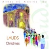 Arnel Aquino SJ - The Work of Christmas