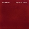 Space Song by Beach House iTunes Track 1